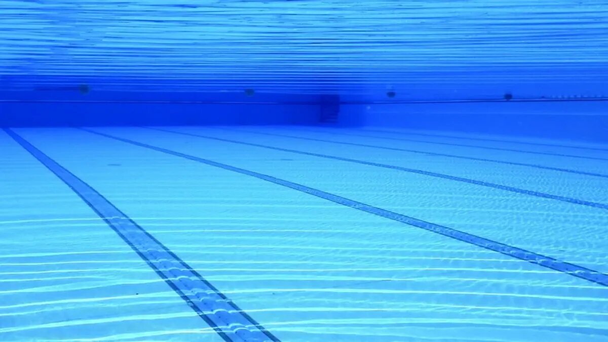 Фото: pxhere.com