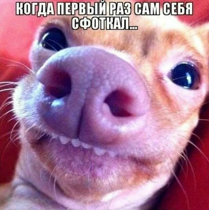 У кого было так же ставь лайк 