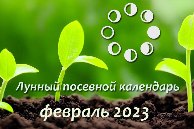 лунный календарь на февраль 2022. лунный календарьпосеаной. лунно посевной календарь на февраль 2024 год. лунно посевной календарь на февраль 2024 год. лунный календарь на 2024 год для садоводов.
