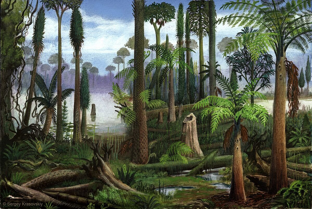Каменноугольный период палеозойской эры растения