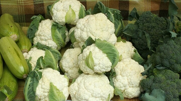 ФОТО: ВИКТОР ЛИСИЦЫН/GLOBALLOOKPRESS