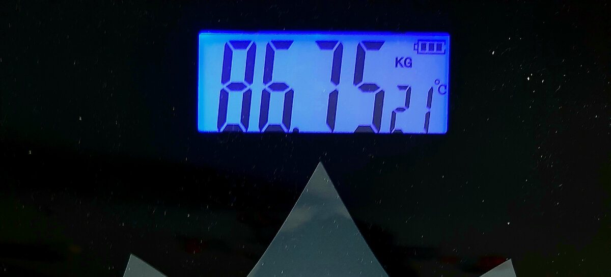 мой сегодняшний вес