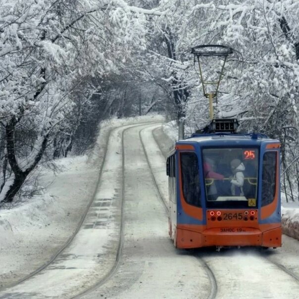 Милая девушка ехала на трамваи домой. Сегодня она сдала последний экзамен.. Фото в свободном доступе