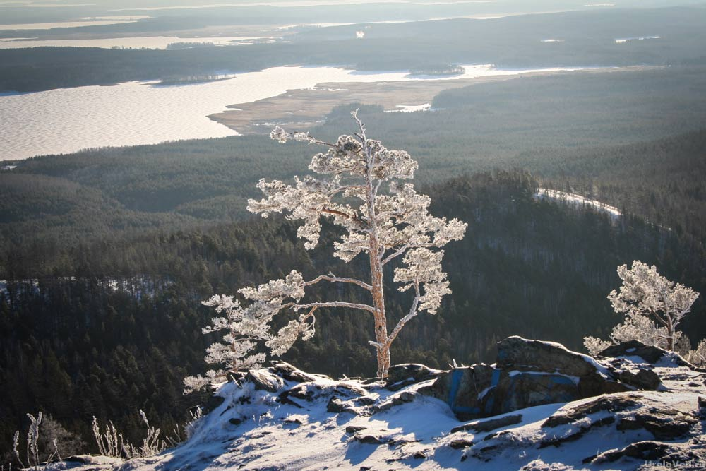 Вид с вершины