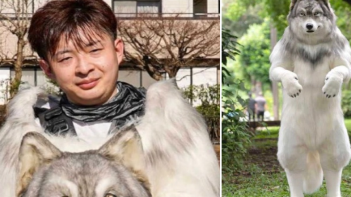 Японец токо. Японец в костюме волка. Реалистичный костюм волка. Япония люди. Японец в костюме собаки.