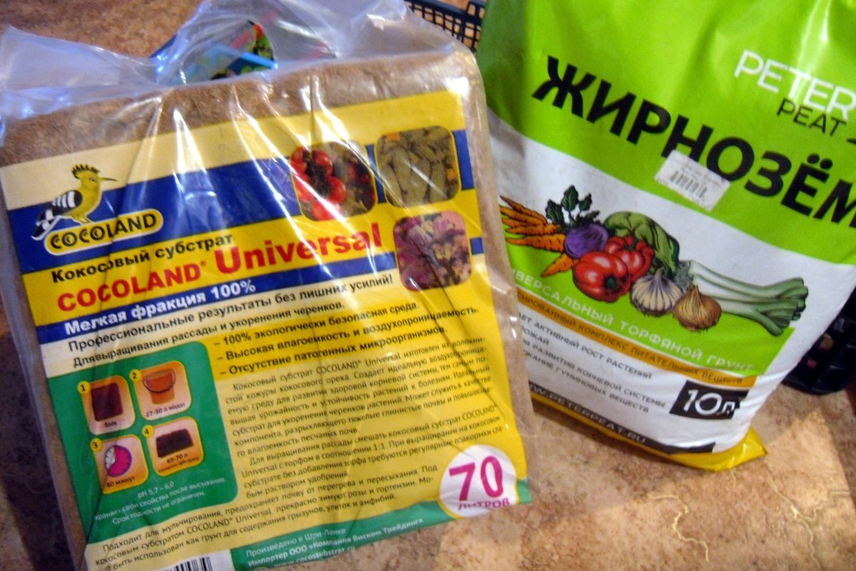    Кокосовый субстрат или грунт для рассады? Что лучше?