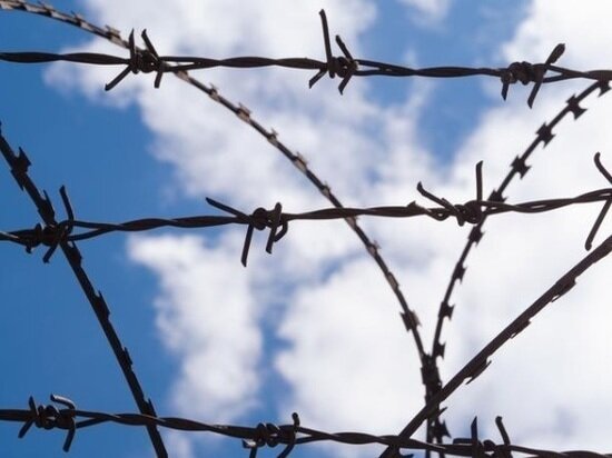     ФОТО: RU.FREEPIK.COM