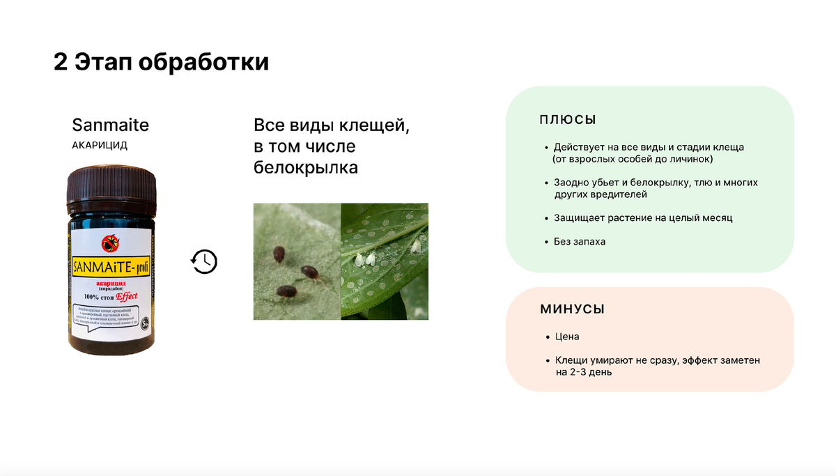 Как бороться с паутинным клещом? | Hibibloom | Гибискусы🌺 | Дзен