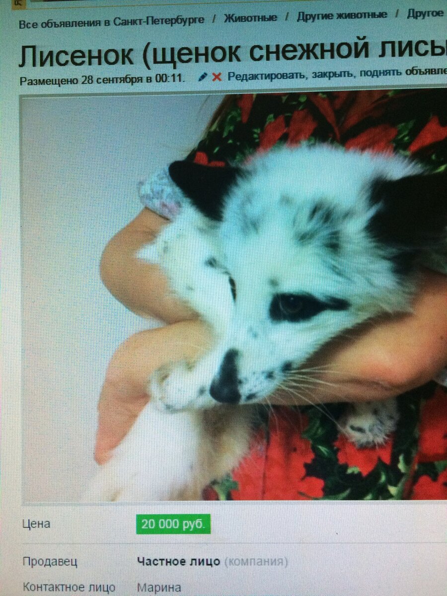 личное фото автора. Да, храню уже больше семи лет