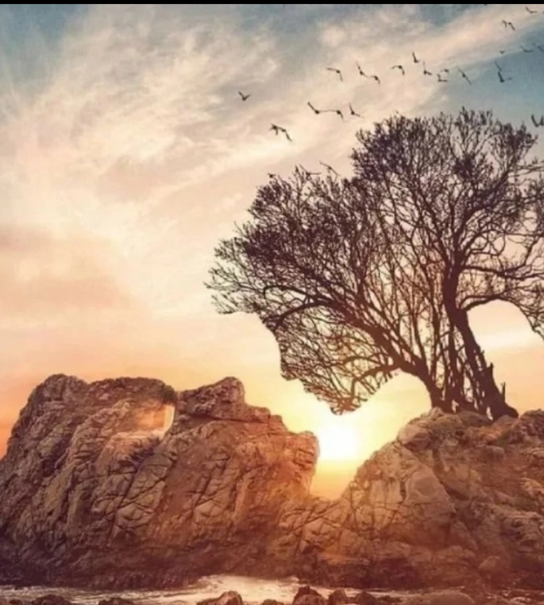 Скриншот, выполненный автором на каком-то из открытых ресурсов