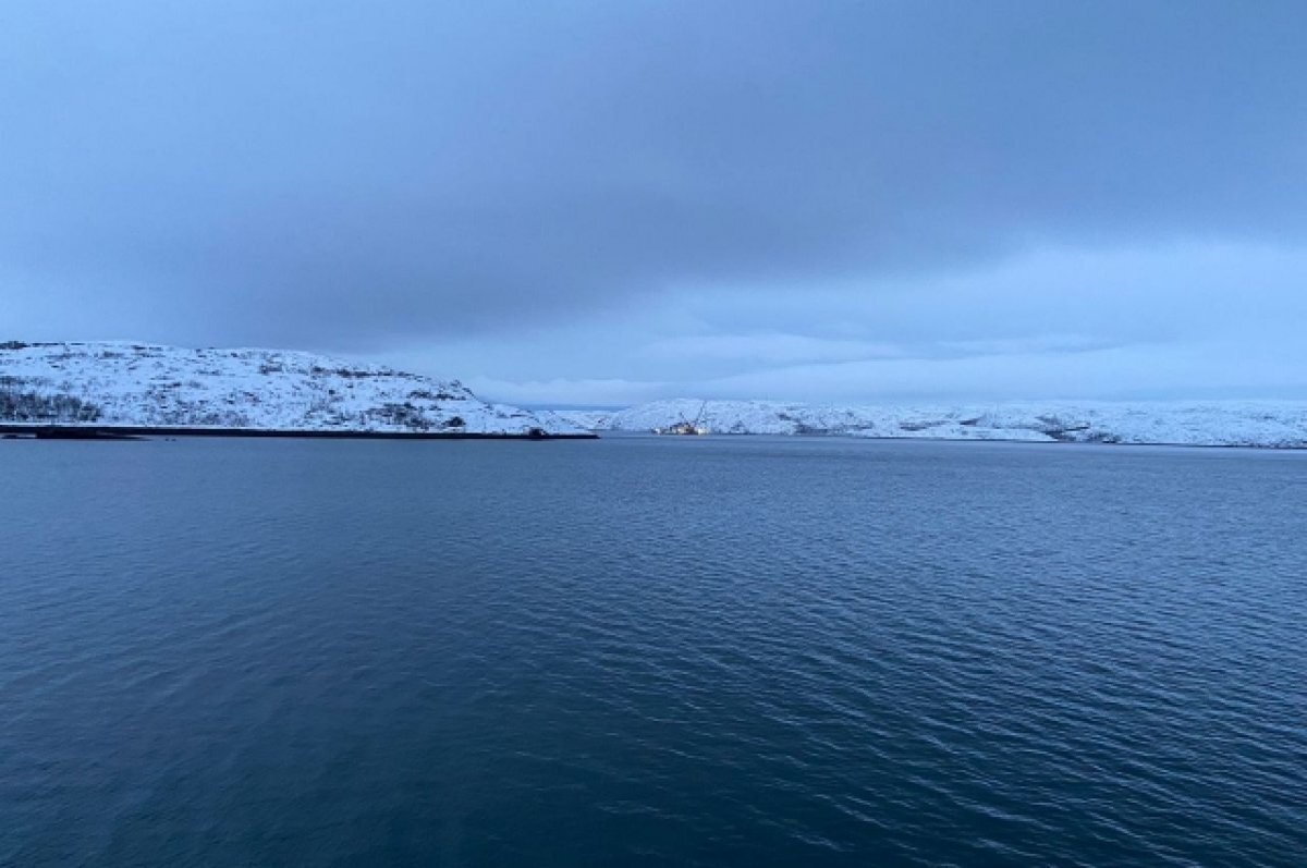    В Мурманской области ТОР «Столица Арктики» расширят под стройку терминала