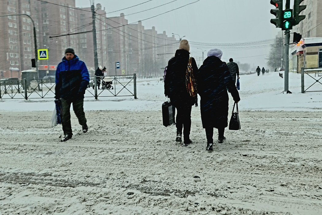 Фото: Олег Золото / MR7