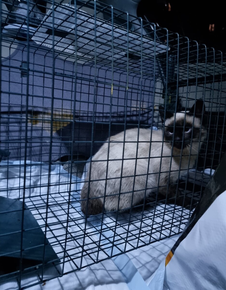 В машине едем.