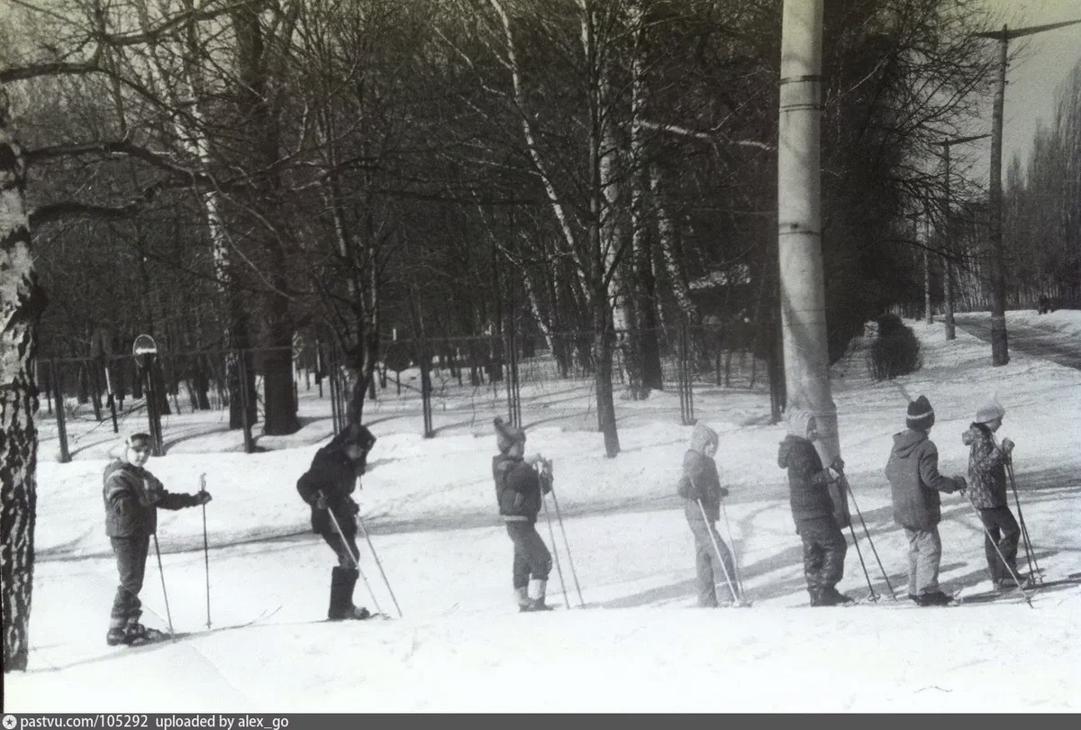 Парк Сокольники, урок физкультуры учеников школы № 366, 1987 г. Автор: Белов П.В. Источник: личный архив.