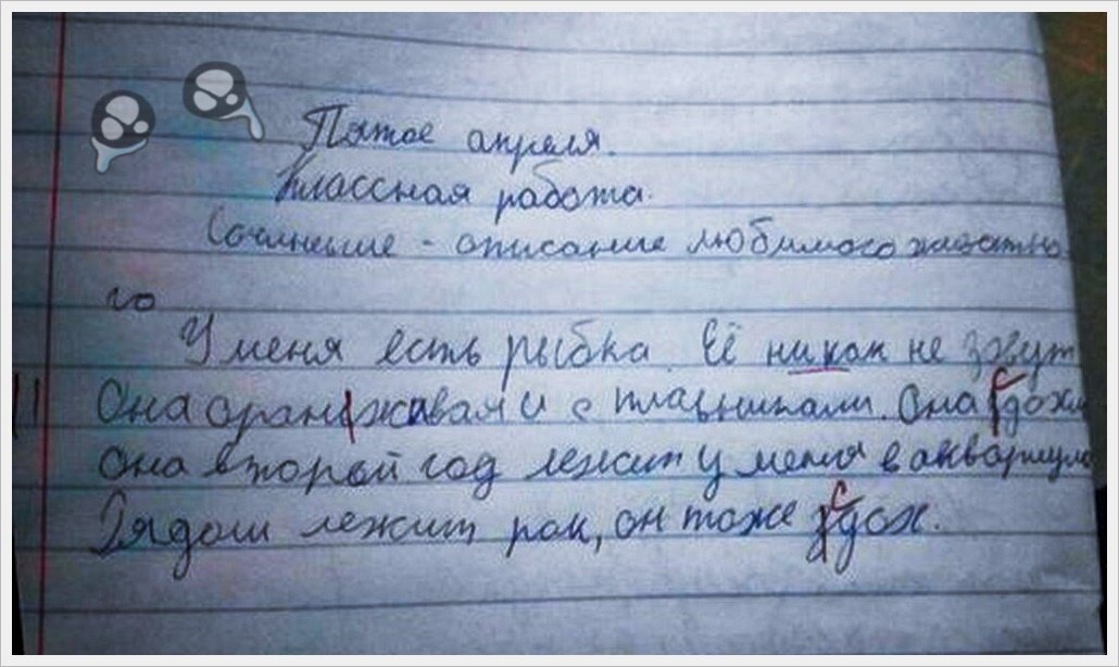 Вегетарианство: плюсы и минусы. Что будет с организмом, если резко отказаться от мяса?