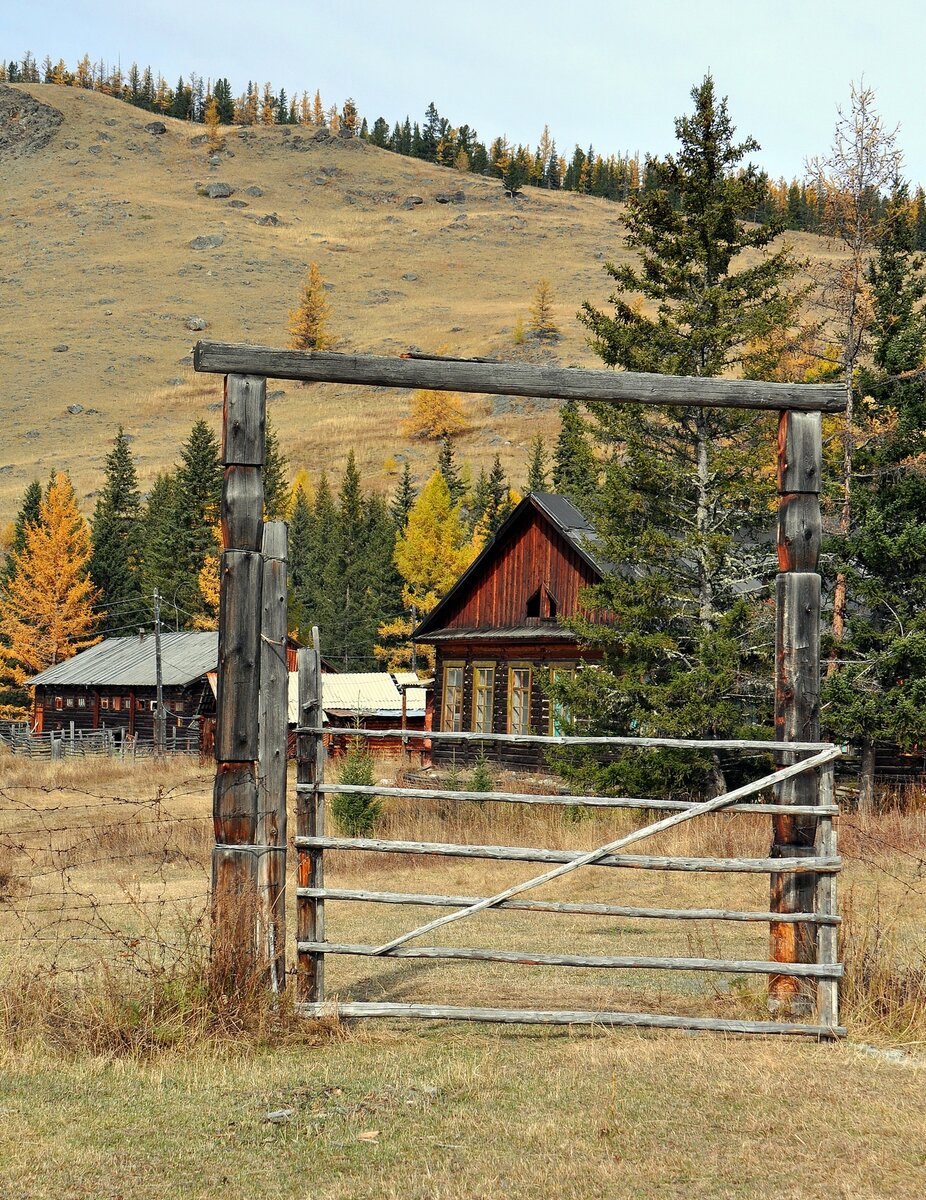 Кордон Язула.