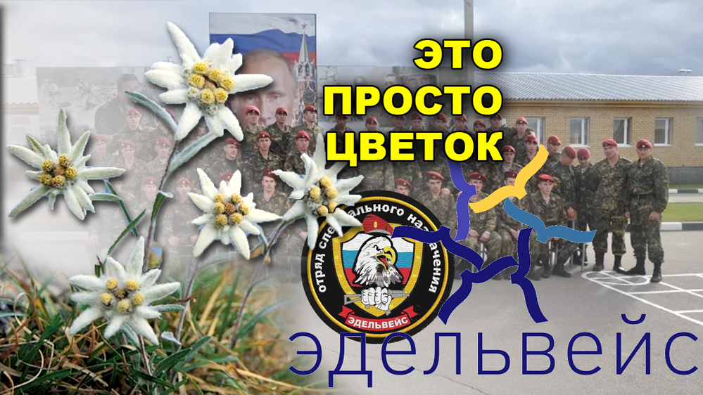 17 Отряд спецназа Эдельвейс. Отряд Эдельвейс Украина. Эдельвейс войска. Эдельвейс отряд специального назначения Россия. Оповещение эдельвейс