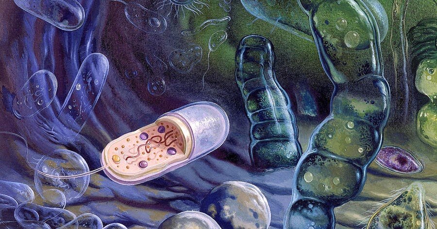 Картинка из сети для иллюстрации статьи