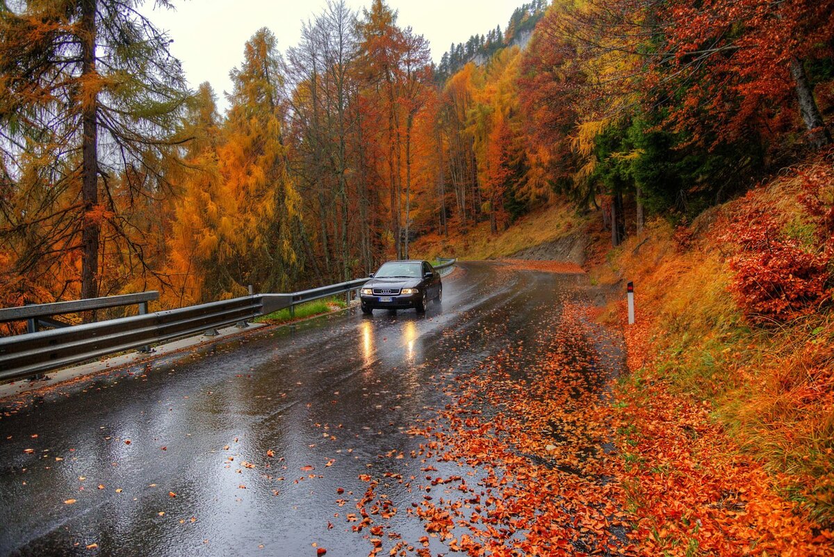 Изображение с Яндекс.Картинки