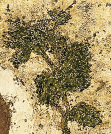 Древо — это и райское Древо Жизни, и процветший крест, на котором был распят Спаситель