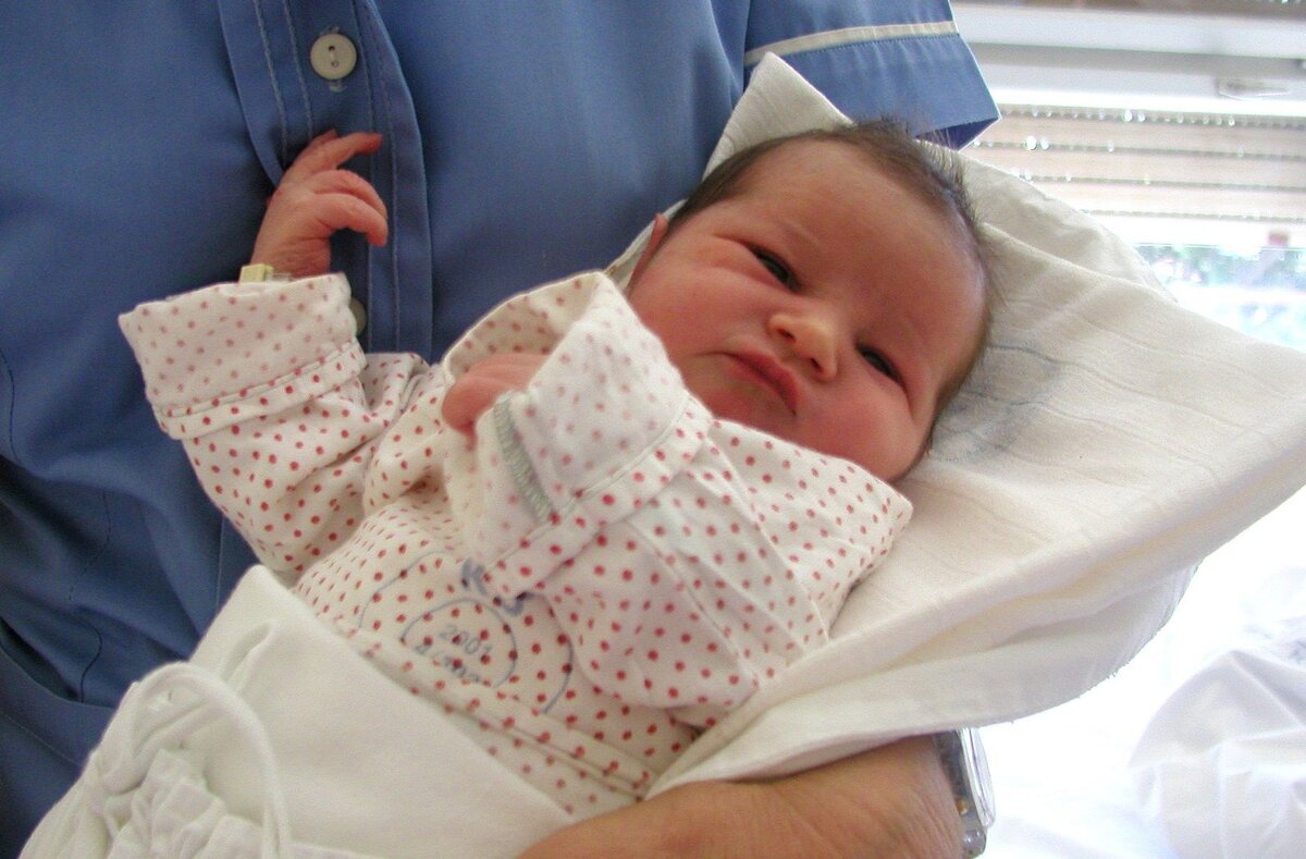 Фото взято с сайта https://cz.pinterest.com/pin/522910206716717912/