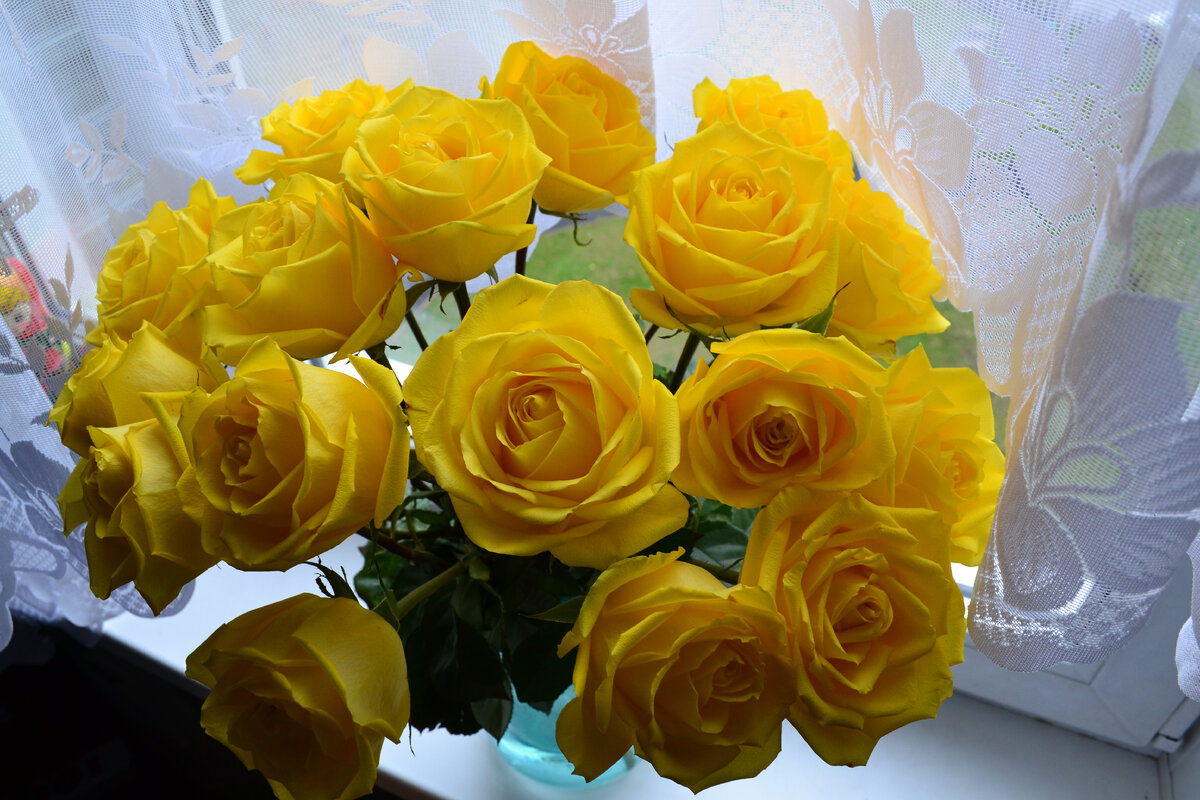 8 октября 2014 год Эти цветы простояли у меня более 2х недель