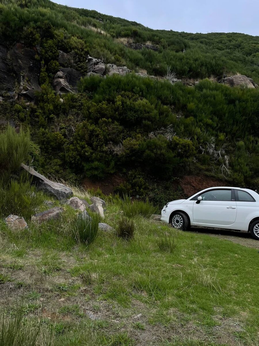 А я сяду в кабриолет и уеду куда-нибуууудь....