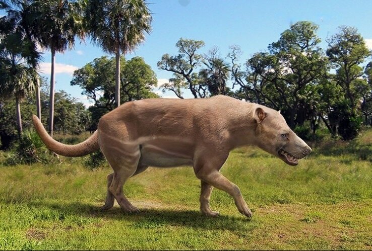 Да, я не очень умный, но у моих детей великое будущее!