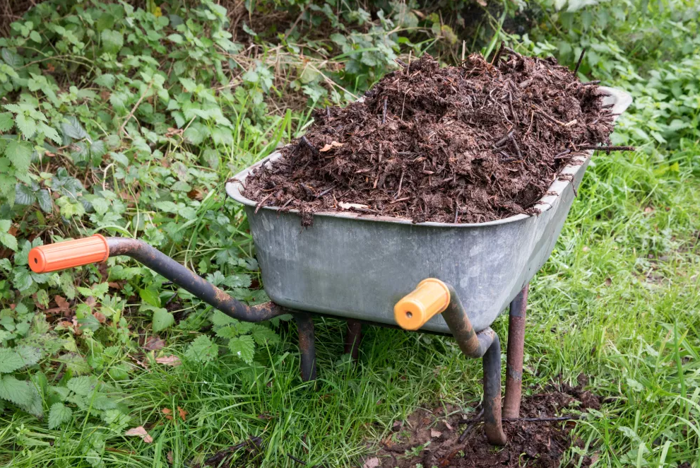 Мастер-класс: как сделать компост из травы своими руками