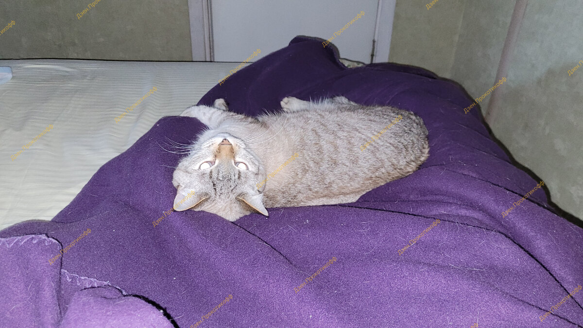 не бузи! - говорит Мотя