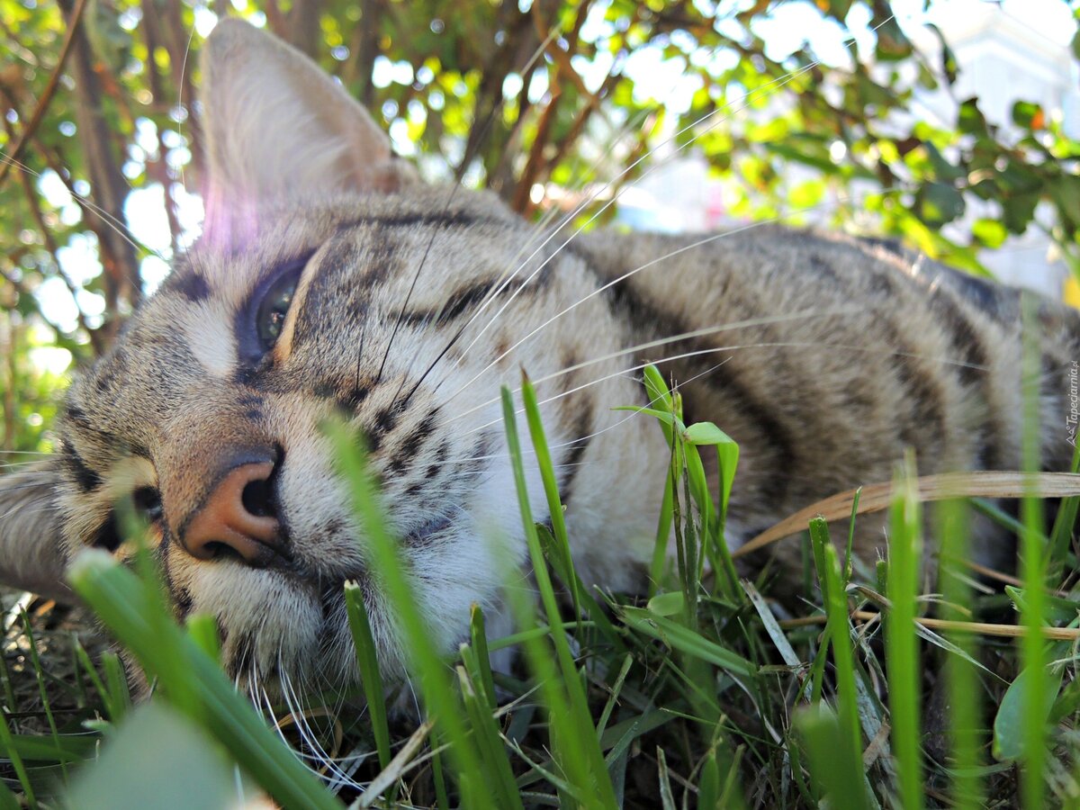 Фото из Интернета.