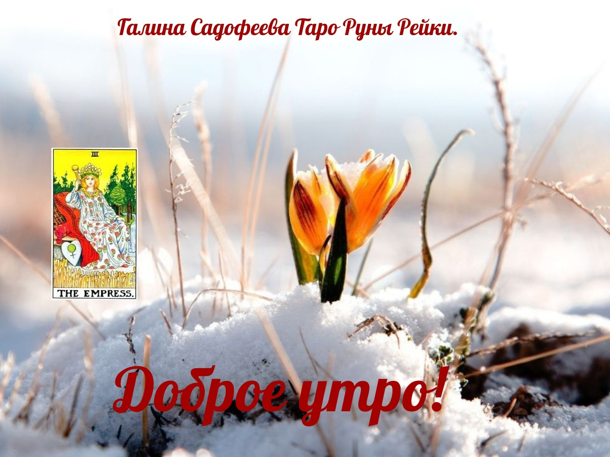 17 января лунный день. Убывающая луна 2022. Фазы луны в сентябре 2022 года. Фазы луны в июне 2022. 17 день луны.