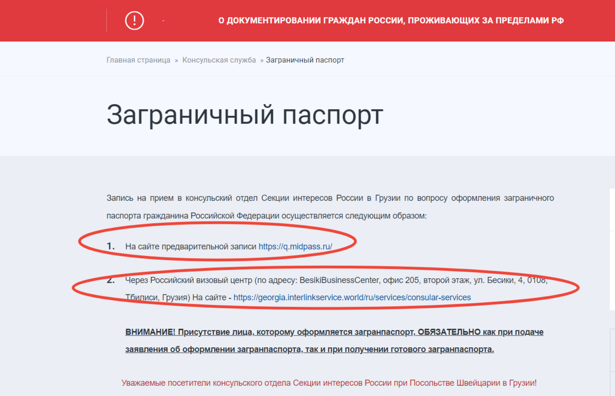Как я получал российский загранпаспорт в Грузии | Гамарджобат | Дзен