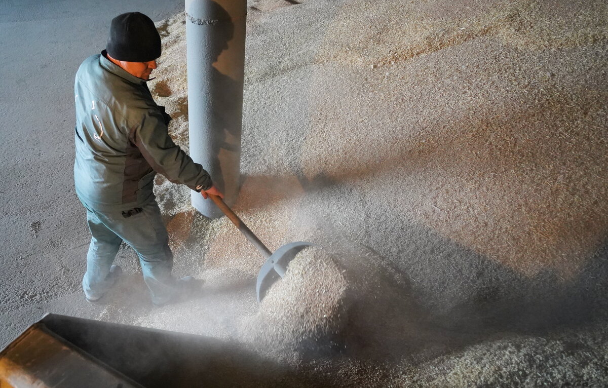 Андрей Рубцов/ТАСС