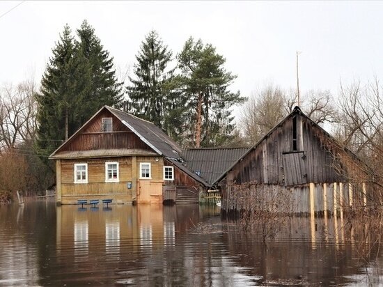     Весенние паводки пришли в деревни Псковской области / Фото Александра Рябинина