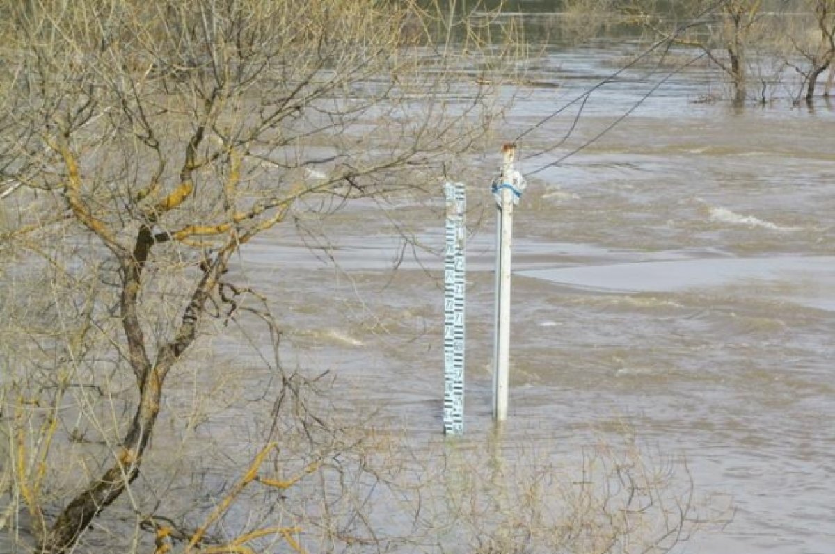    Уровень воды в реке Большой Кумак возле Новоорска достиг опасных отметок.