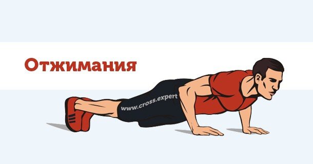 Отжимания каждую неделю делаю разным хватом. Узким, средним и широким.