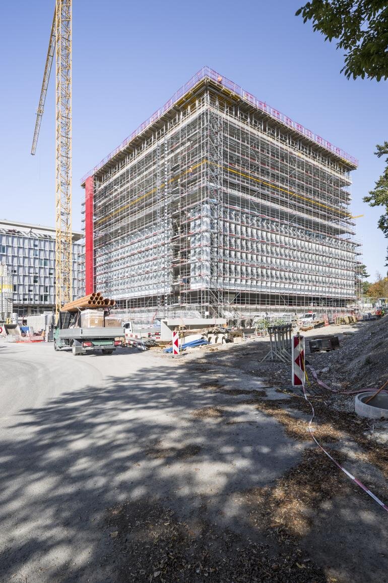 Фото by Maxime Vermeulen/ wallpaper.com