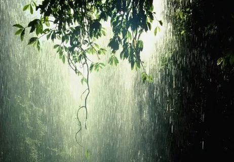 Картинка из интернета