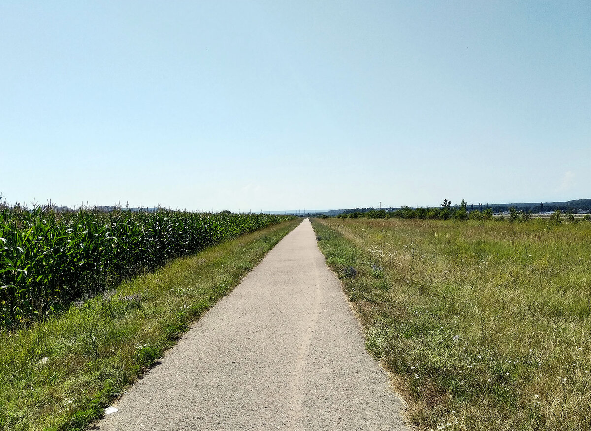 С какой скоростью едет горный велосипед? Сравнение колес 27,5" с 26 ...