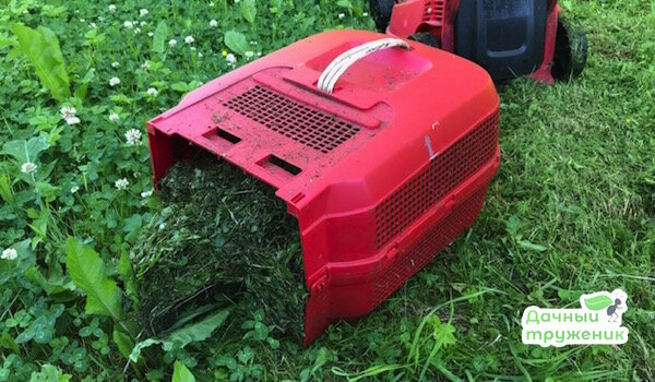Фото: Дачный труженик