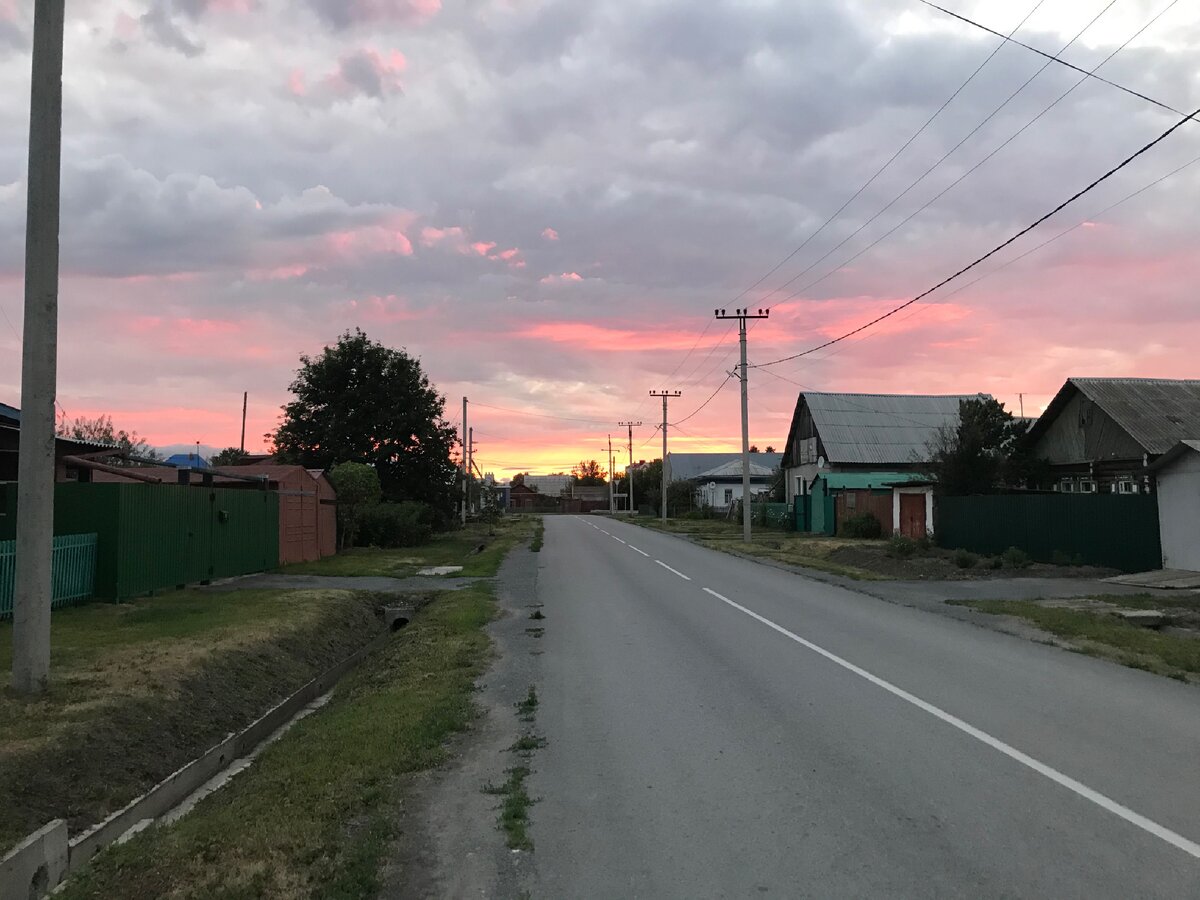 Прогулка удалась 