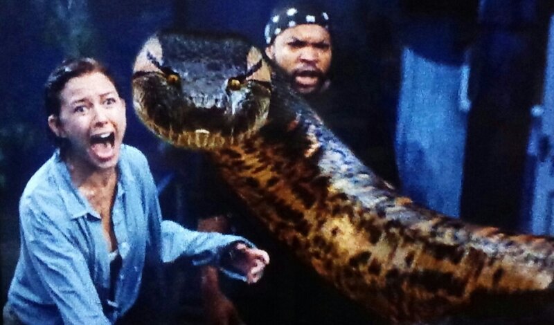 Анаконда. Кадр из фильма. Источник: яндекс-картинки.