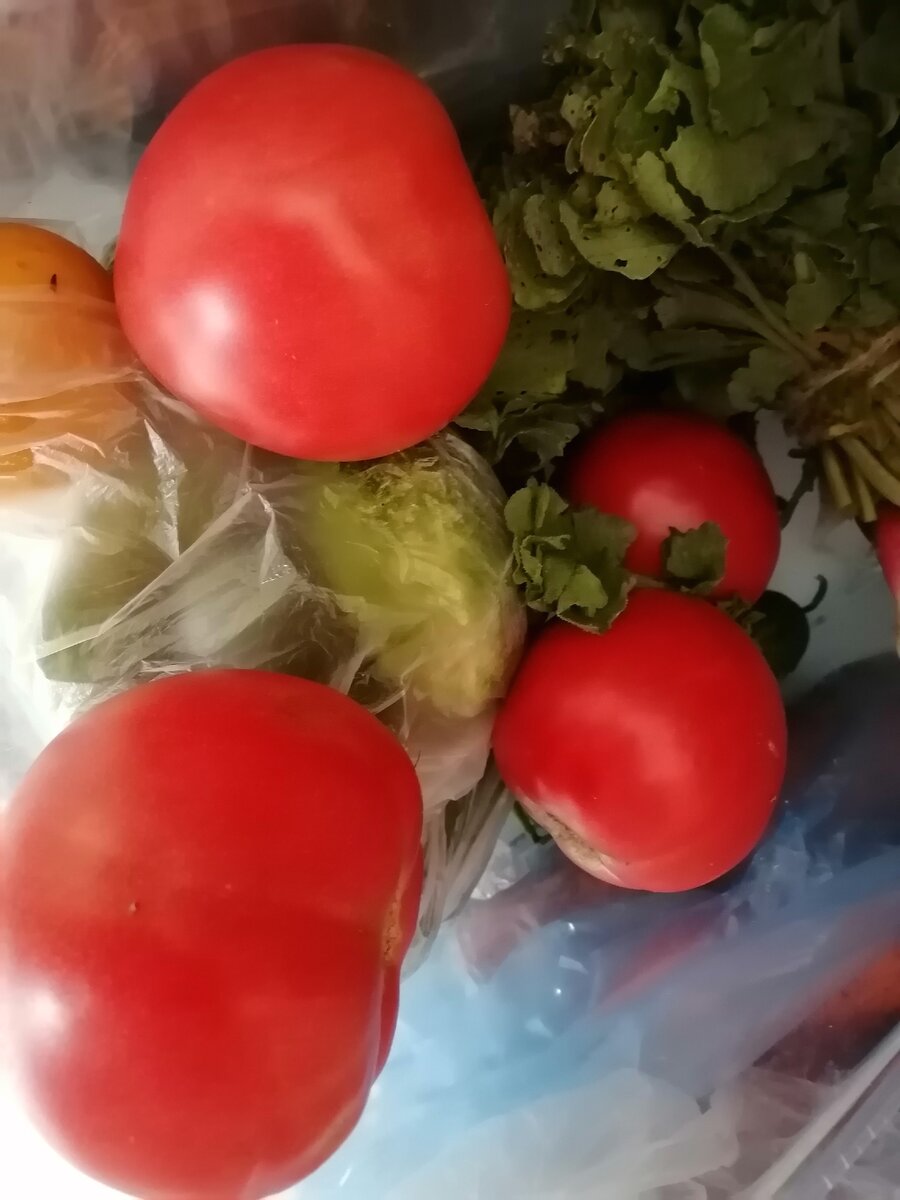 Помидоры Краснодарского края