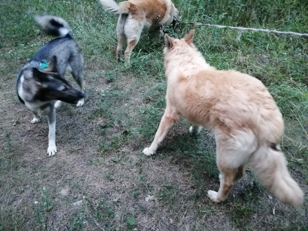 -2-3
