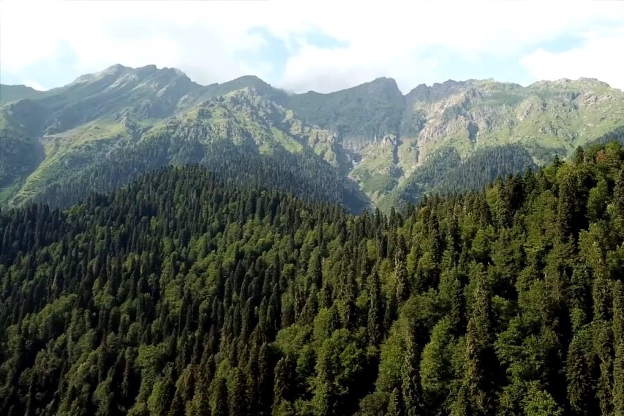 Республика абхазия. Абхазия село верхняя Яштхуа. Одиши Абхазия. Нижняя Яштхуа.