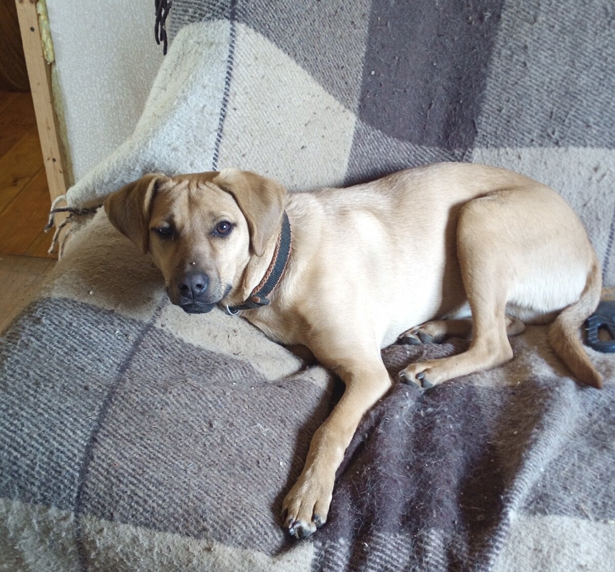 Знакомьтесь, - это Ник.