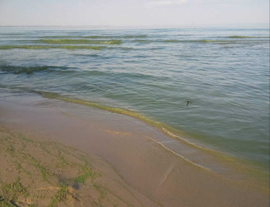 Цимлянское водохранилище река. Цимлянское море. Волгодонск Цимлянское водохранилище. Цимлянское водохранилище Суровикино. Цимлянское водохранилище Волгоградская область.