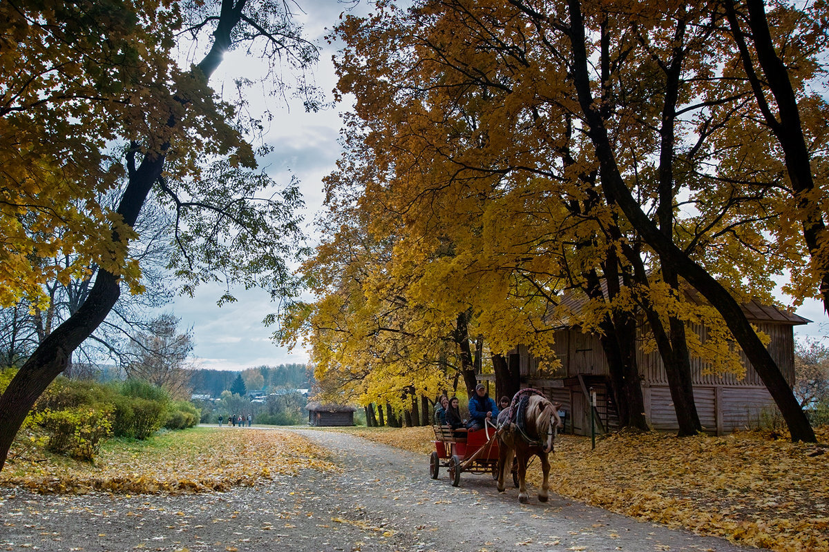 А что если сегодня взять и бросить опостылевшую уборку, готовку, какие-то пустые споры, часа на два сходить в ближайший парк или лес и просто прогуляться по настоящим, не асфальтированным дорожкам и подышать ядрёным воздухом "первоначальной осени"
