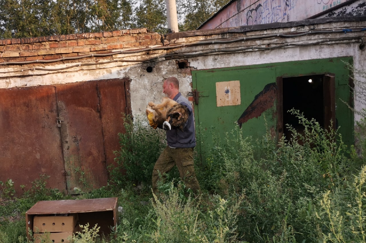 Вряд ли на этой планете найдется тот, кому нравится сидеть долго-долго в четырех стенах или не видеть солнечного света.